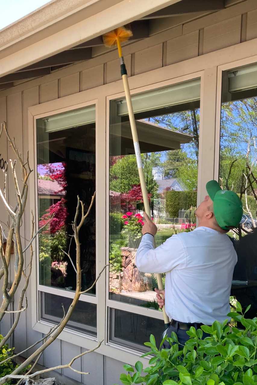 Pest Control Boise Boise's Best Exterminator